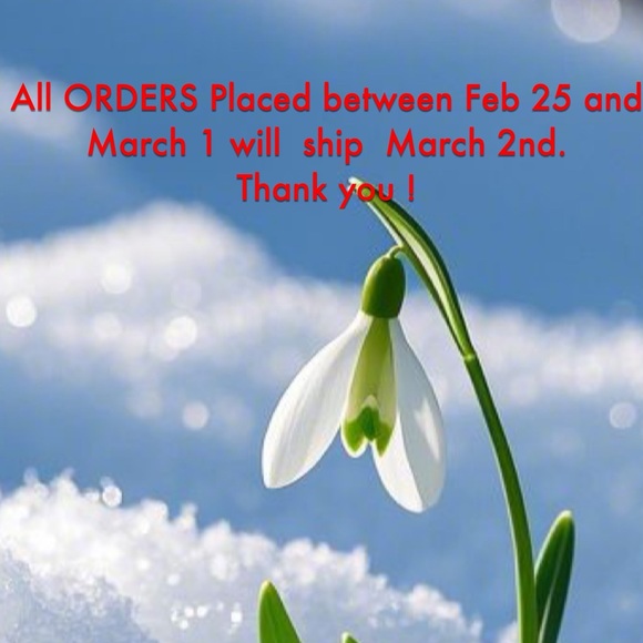 2025 - Picture 4 of 5